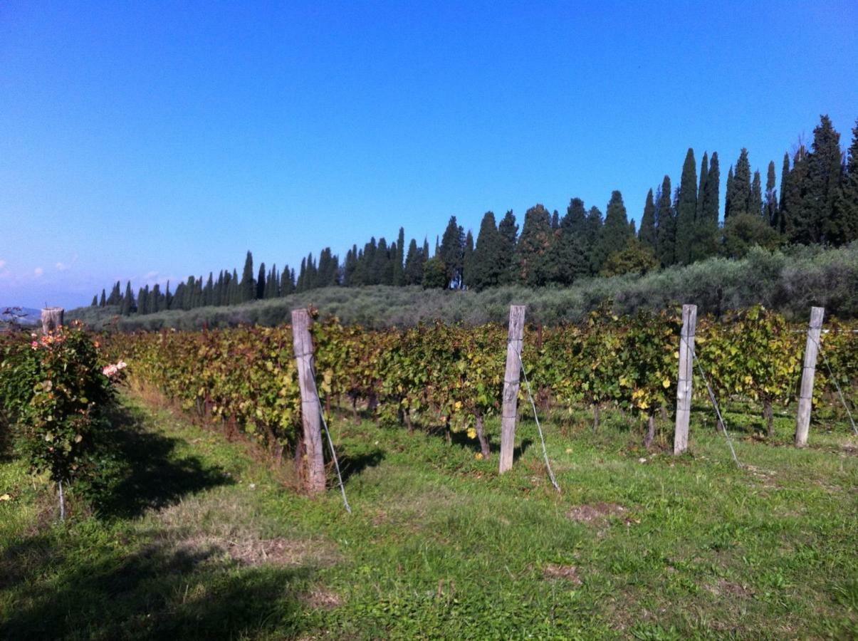 Villa Dei Cipressi Wine Resort Sona Exterior photo