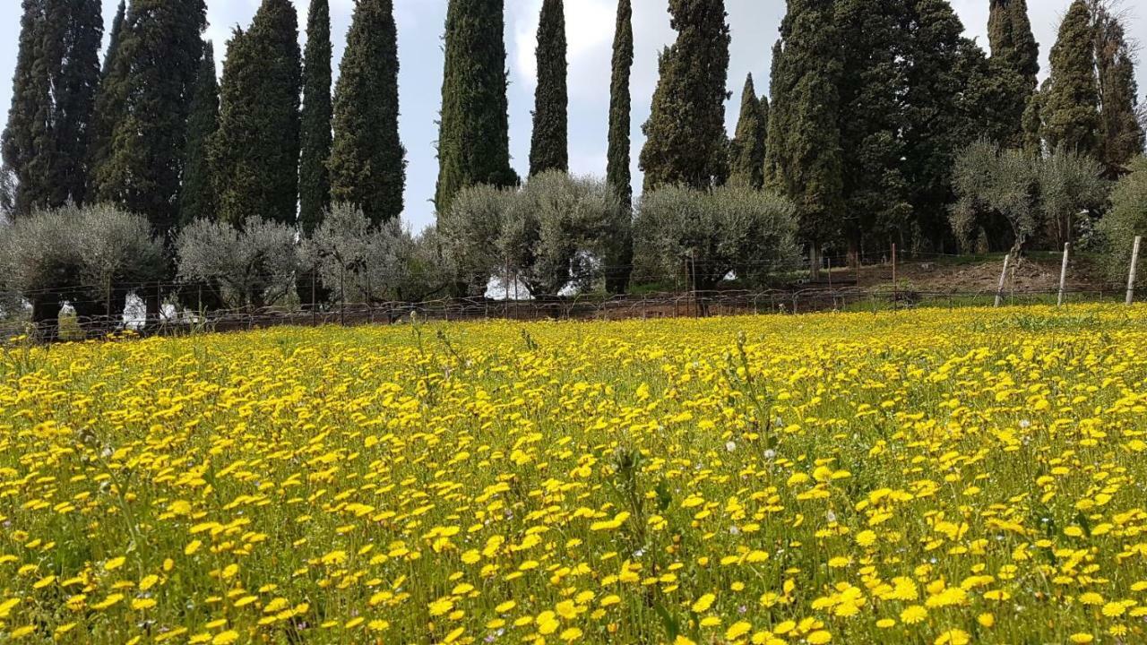 Villa Dei Cipressi Wine Resort Sona Exterior photo